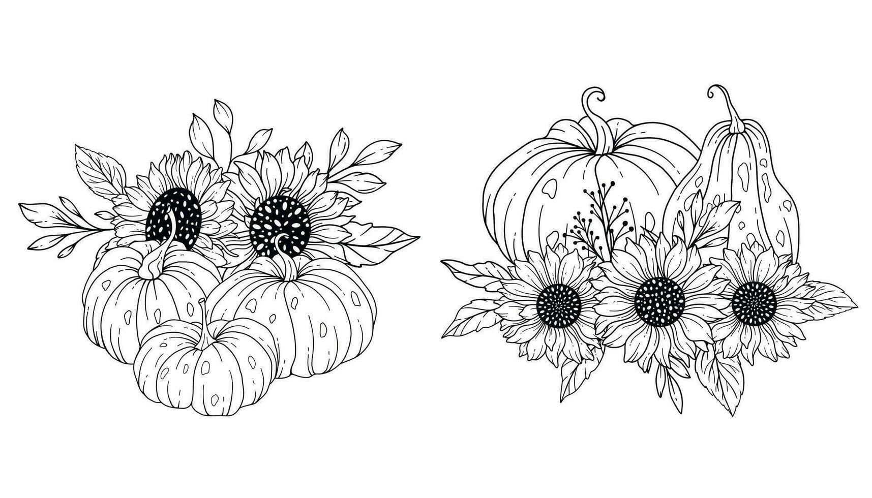 Pumpkins with Sunflowers Line Art Illustration, Outline Pumpkin arrangement Hand Drawn Illustration. Coloring Page with Pumpkins.  Thanksgiving Pumpkins set vector