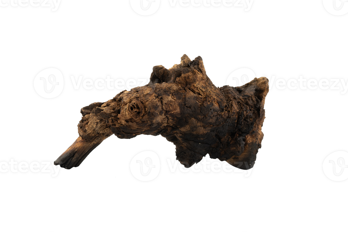 Aged wood branch isolated element 27884537 PNG