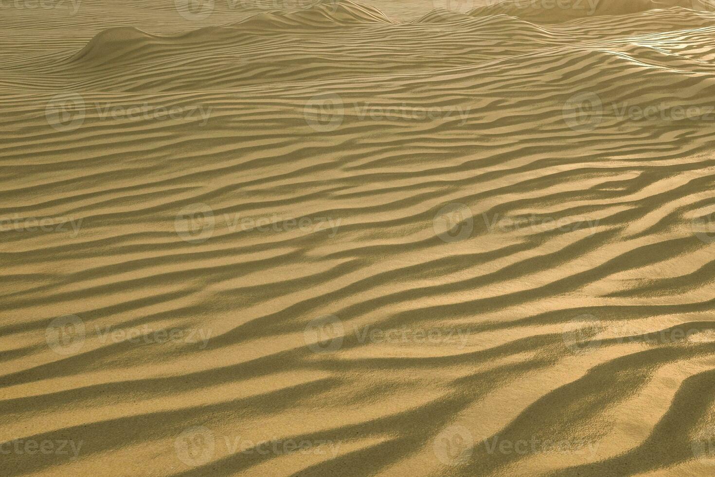 3d rendering, the wide desert, with stripes shapes. photo