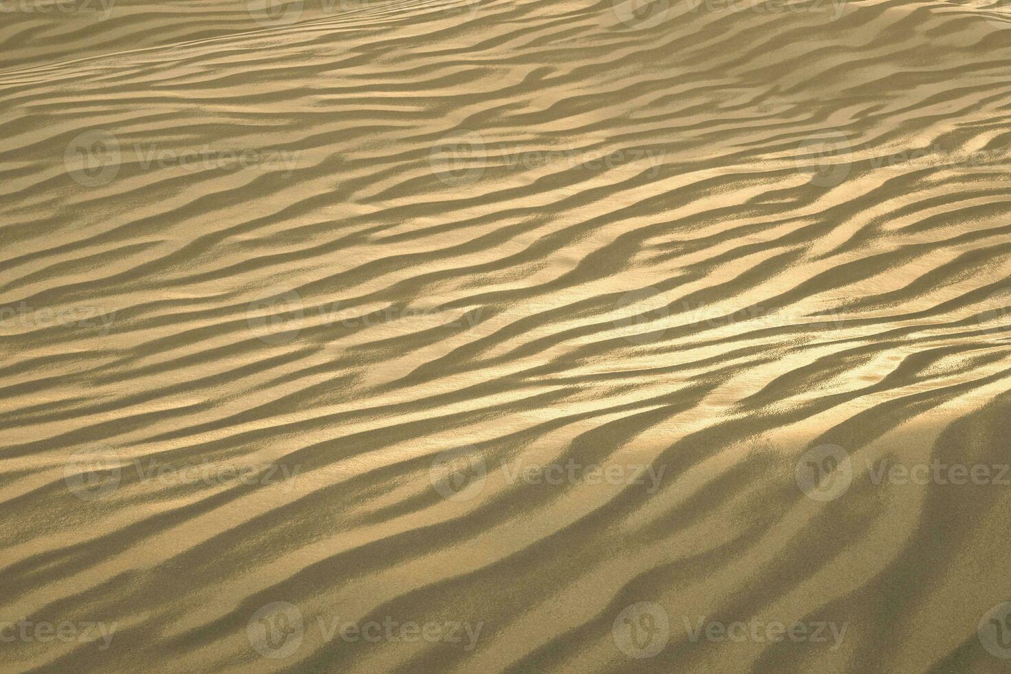 3d rendering, the wide desert, with stripes shapes. photo