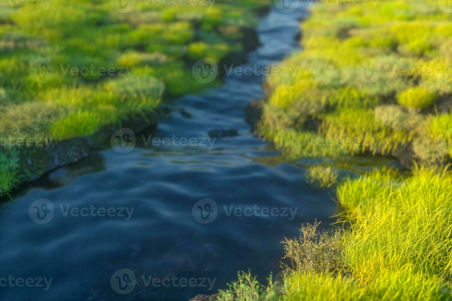 The river between the mountains in a sunny day, 3d rendering photo