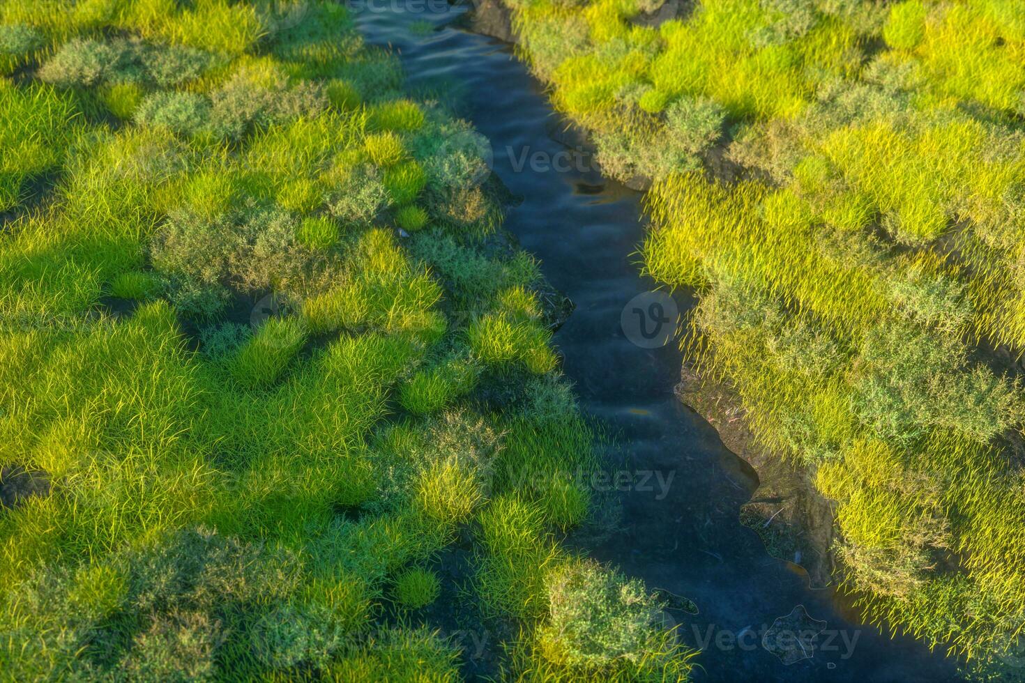 el río Entre el montañas en un soleado día, 3d representación foto