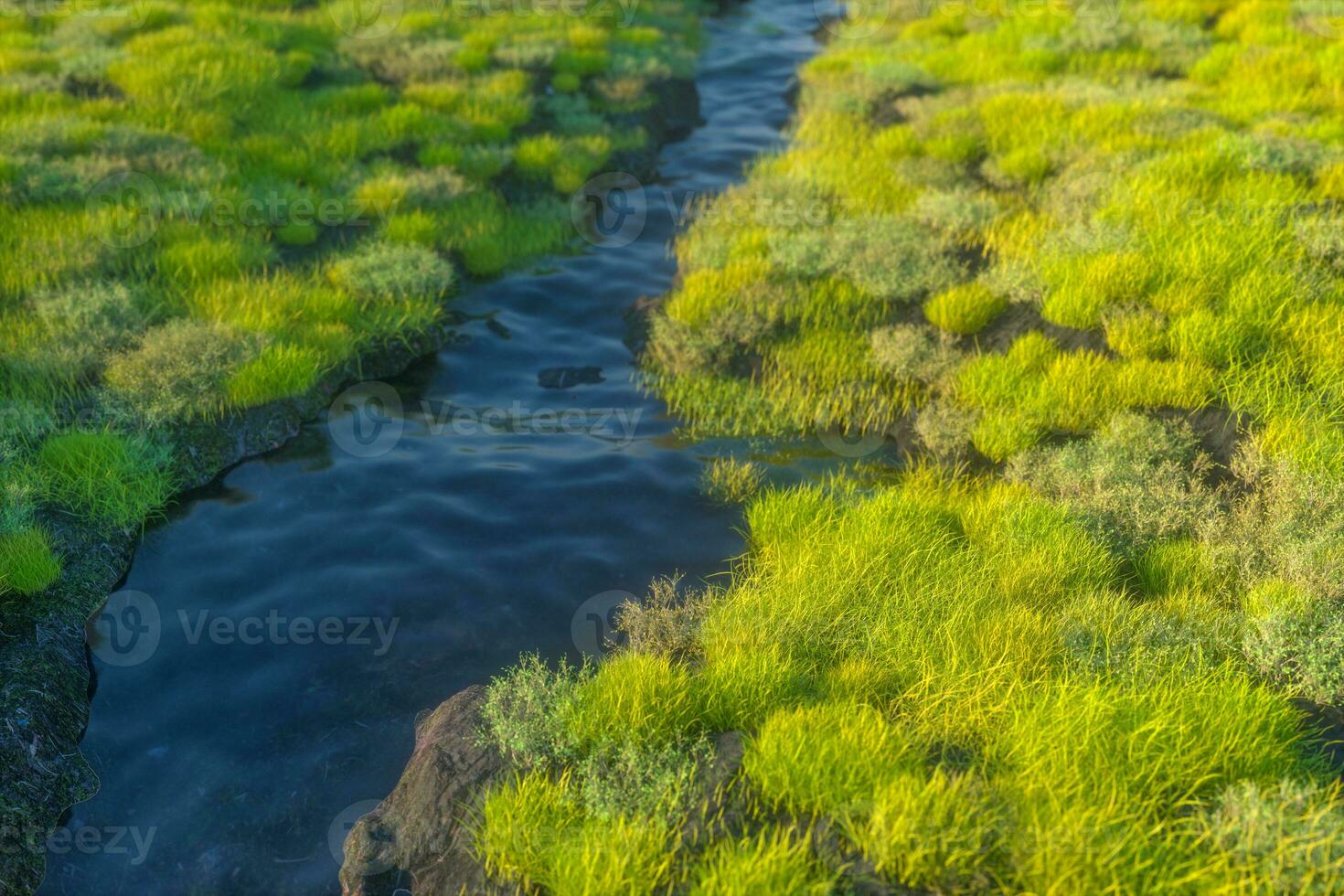 The river between the mountains in a sunny day, 3d rendering photo