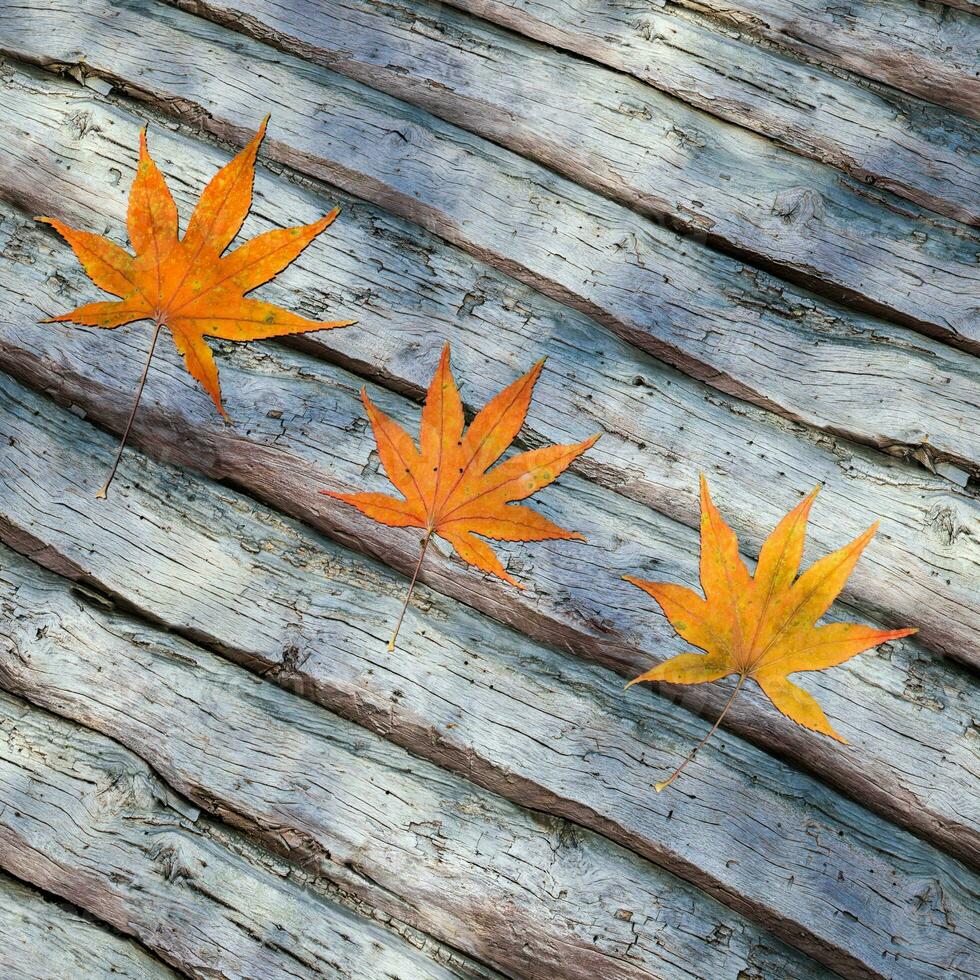 Leaves scattered on the wooden table, 3d rendering. photo