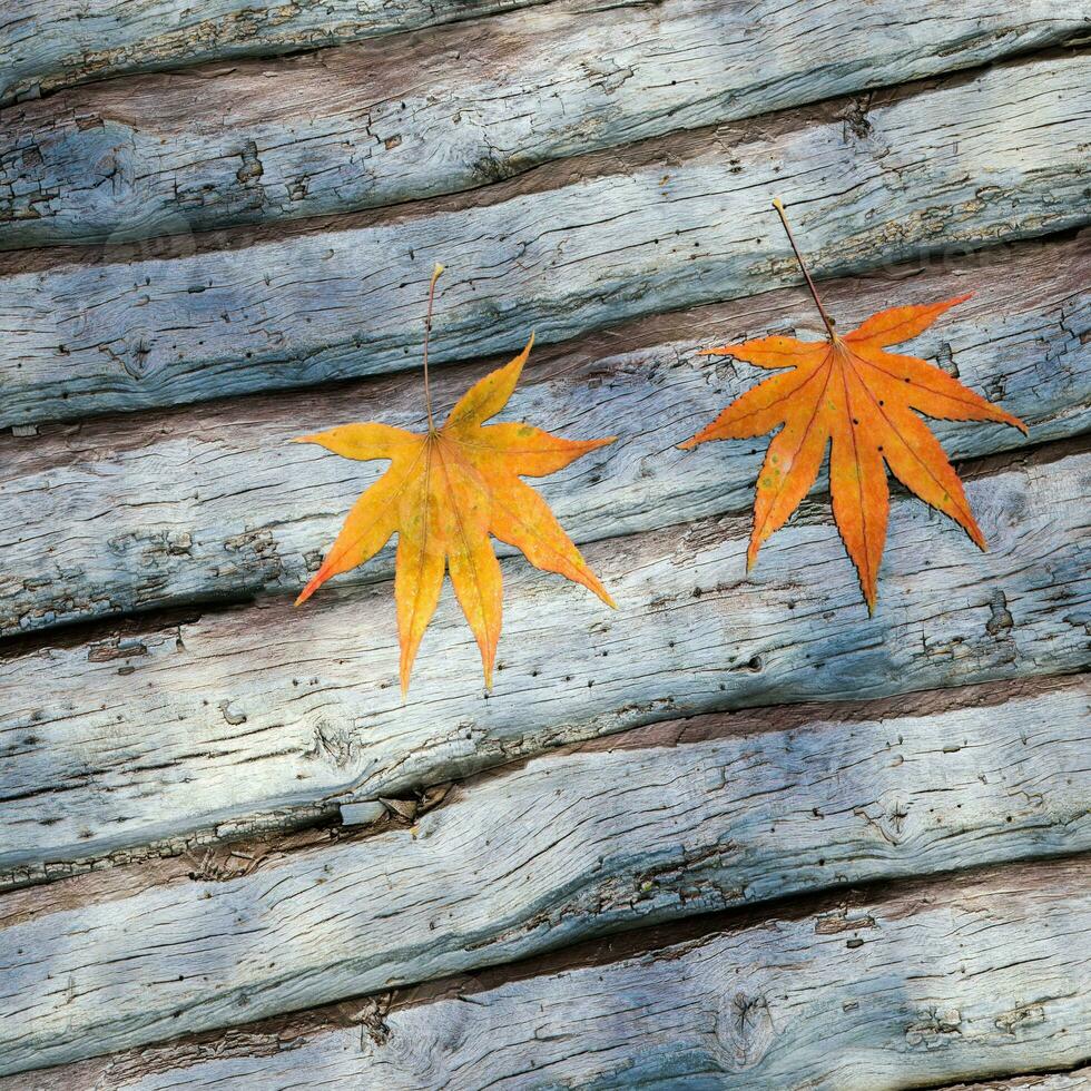 hojas dispersado en el de madera mesa, 3d representación. foto