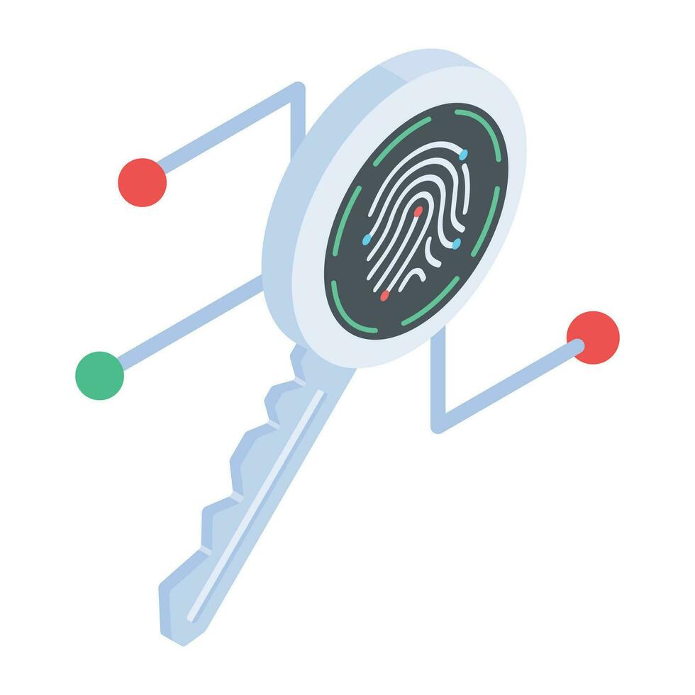 Download isometric icon of encryption key vector