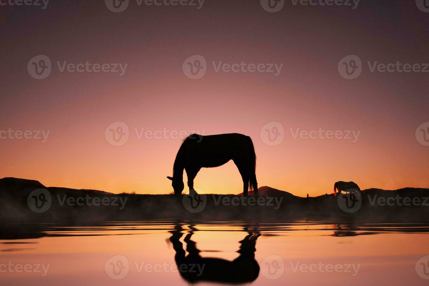 horse silhouette reflected in the water and beautiful sunset background photo