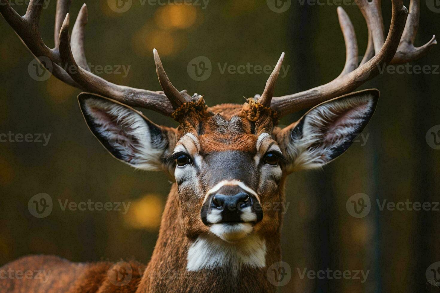a majestic stag standing tall and proud in a snowy forest. photo