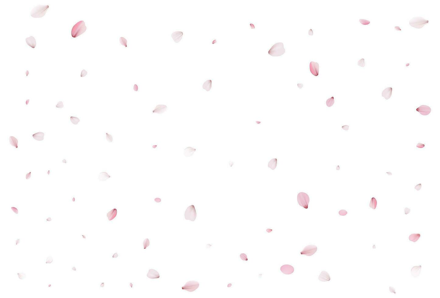 Realistic cherry petals. Vector illustration