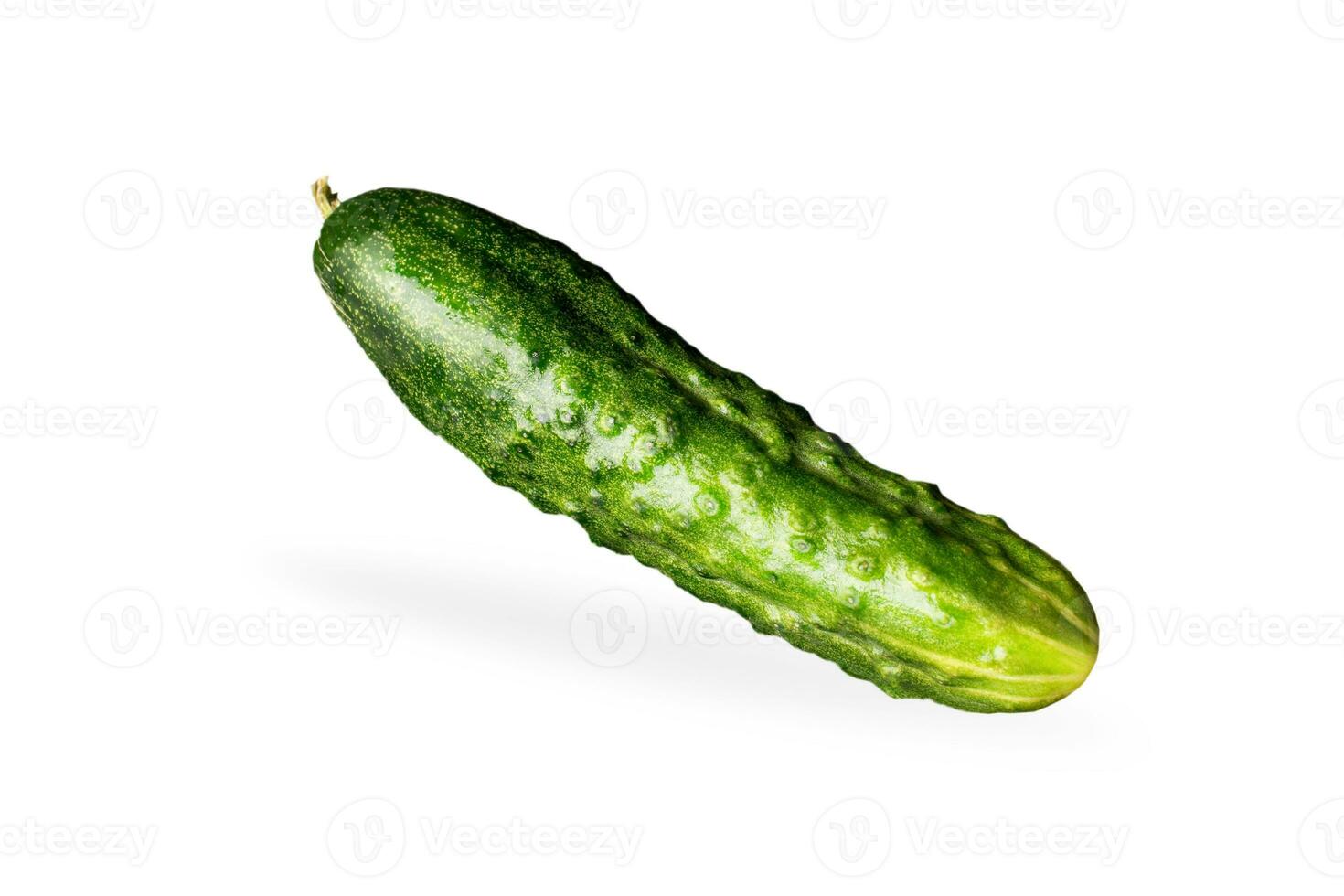 Cucumber isolated on white background photo