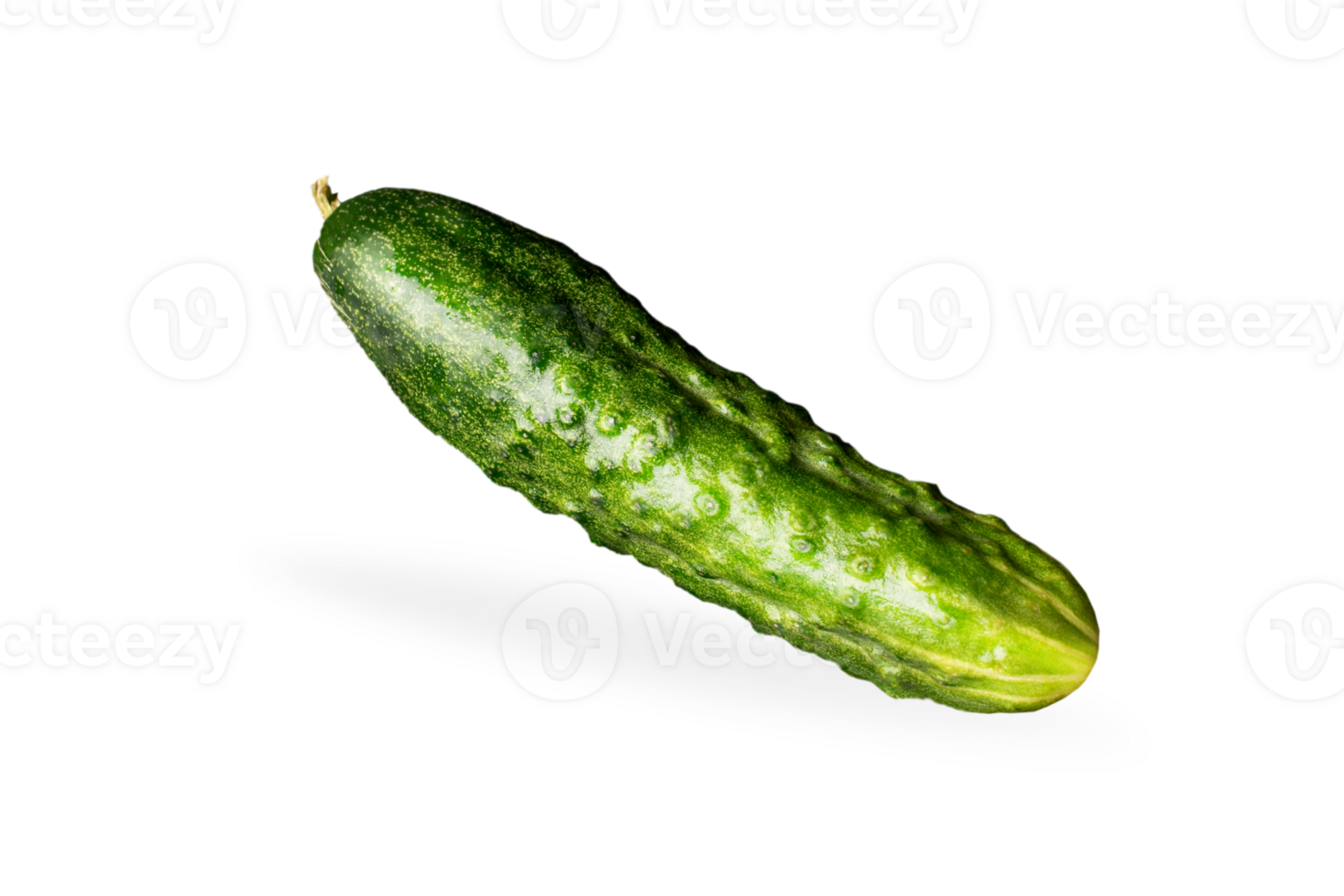 Cucumber isolated on white or invisible png background