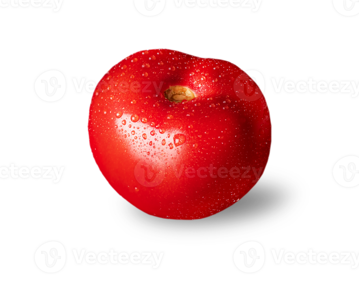 tomate aislado. tomate en blanco o invisible png antecedentes. tomat lado vista. tomate con gotas.