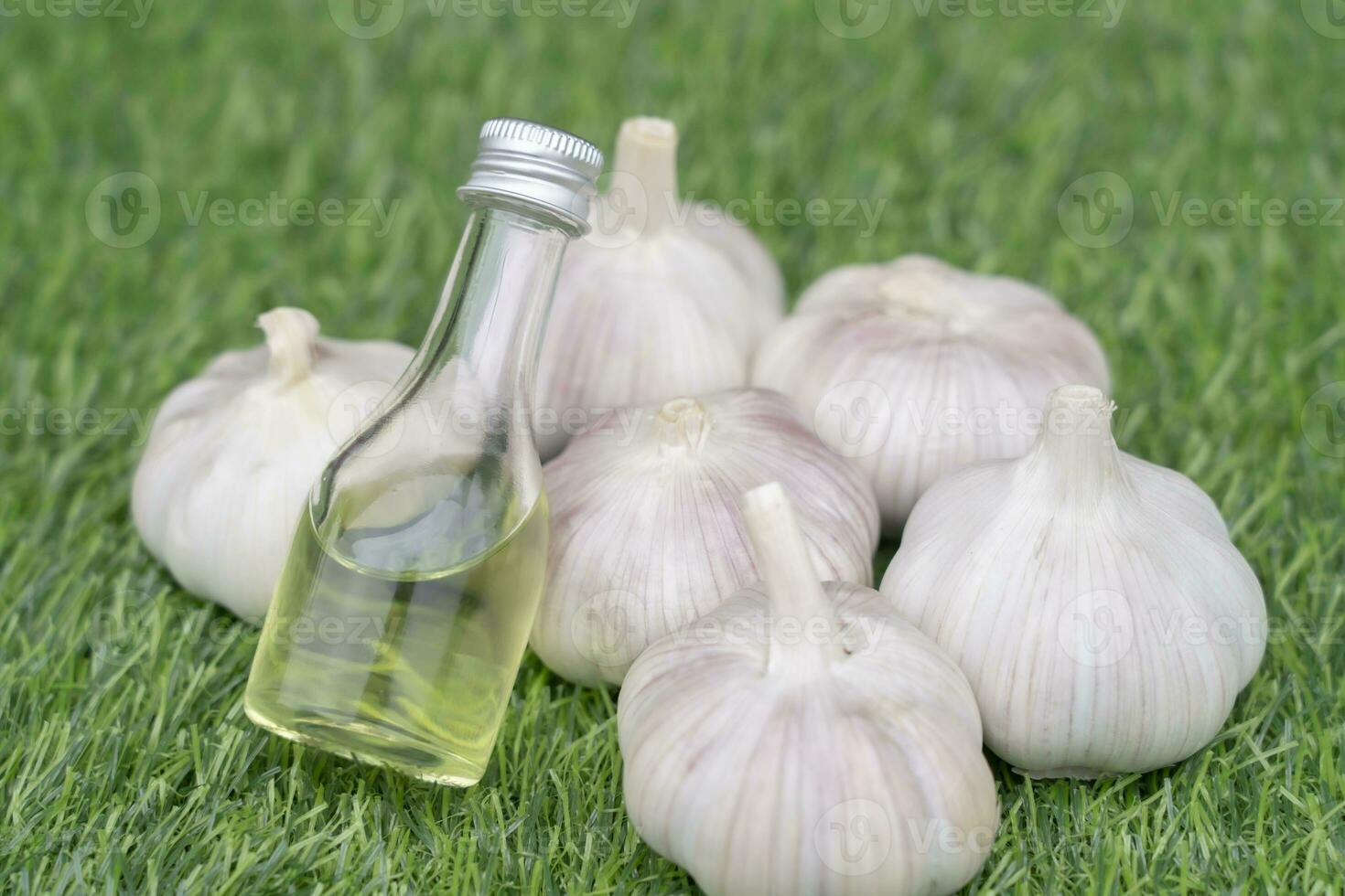 cold press garlic oil with fresh garlic on green grass background , the benefit of garlic capsules reduce blood pressure, reduce blood fat, cholesterol, prevent cancer. photo