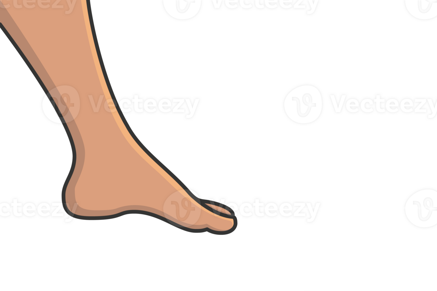 Mensch Füße Paar Vektor Illustration. png