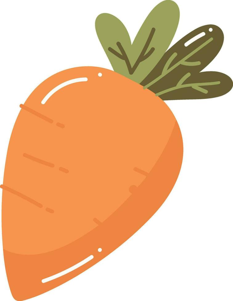 Hand Drawn carrot in flat style vector