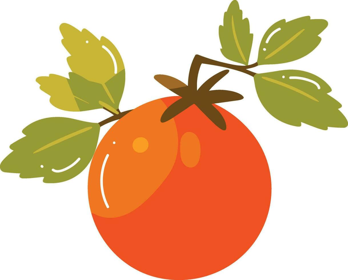 Hand Drawn tomatoes with twigs in flat style vector