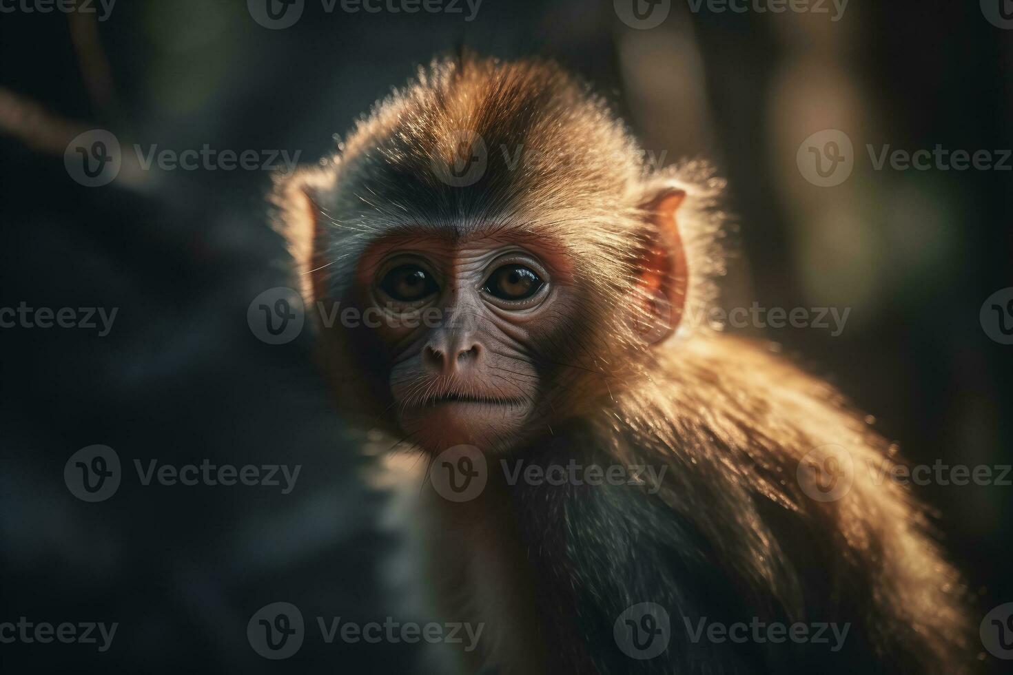 cute baby monkey in the wild. close-up. ai generative photo