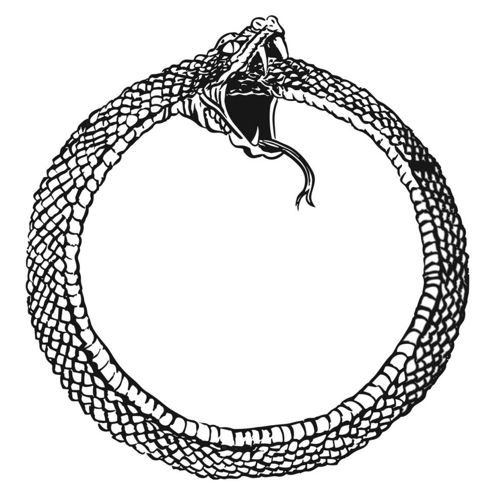 snake circle illustration vector