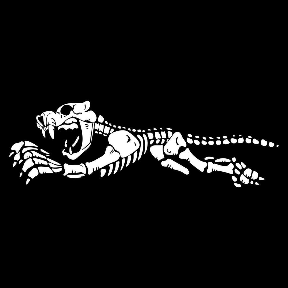 tiger Illustration bones vector