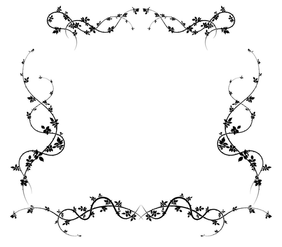 intricate frame on white background rose hips for vector