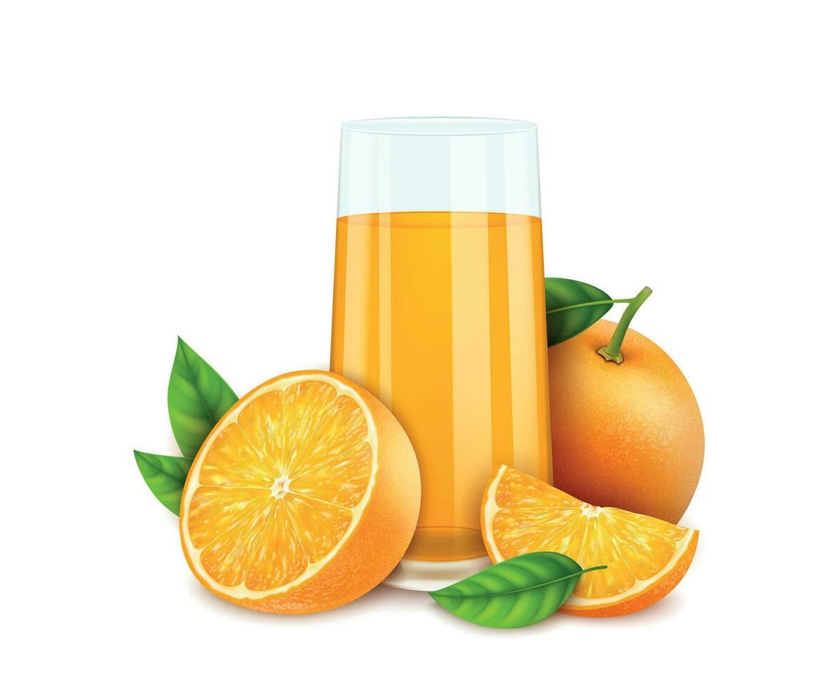 Realistic Detailed 3d Orange Juice Glass Cup with Citrus Fruit. Vector