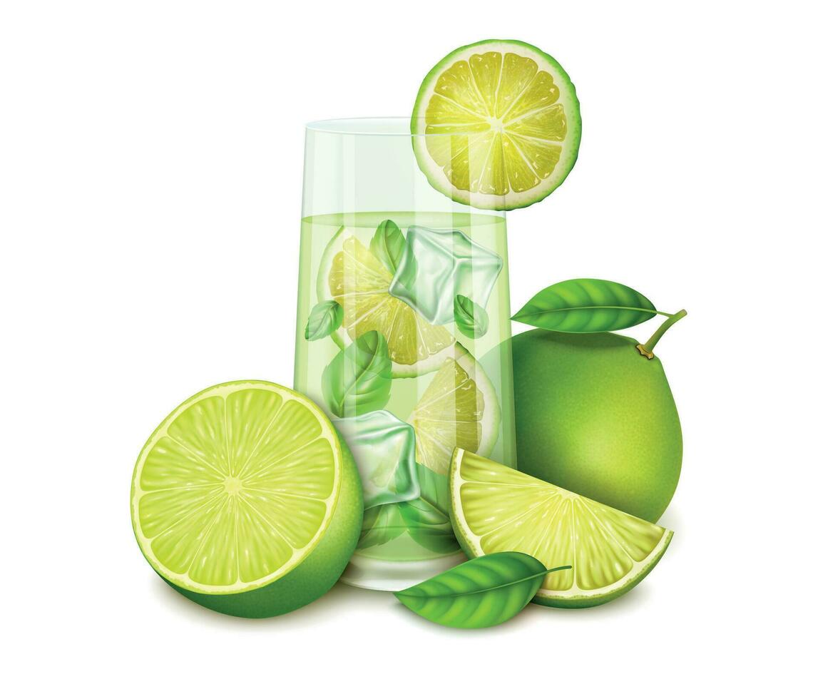 Realistic Detailed 3d Glass Cup Beverage with Fresh Lime. Vector