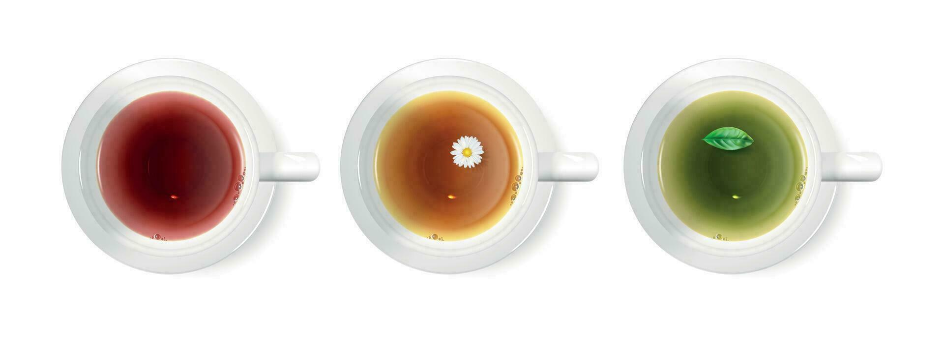 Realistic Detailed 3d Different Cup Tea Set. Vector