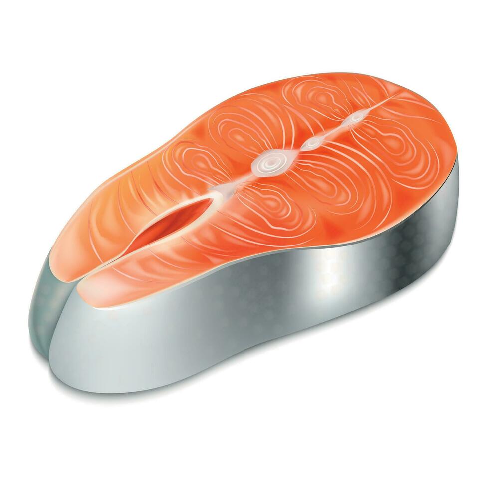 realista detallado 3d crudo salmón filete rebanada. vector