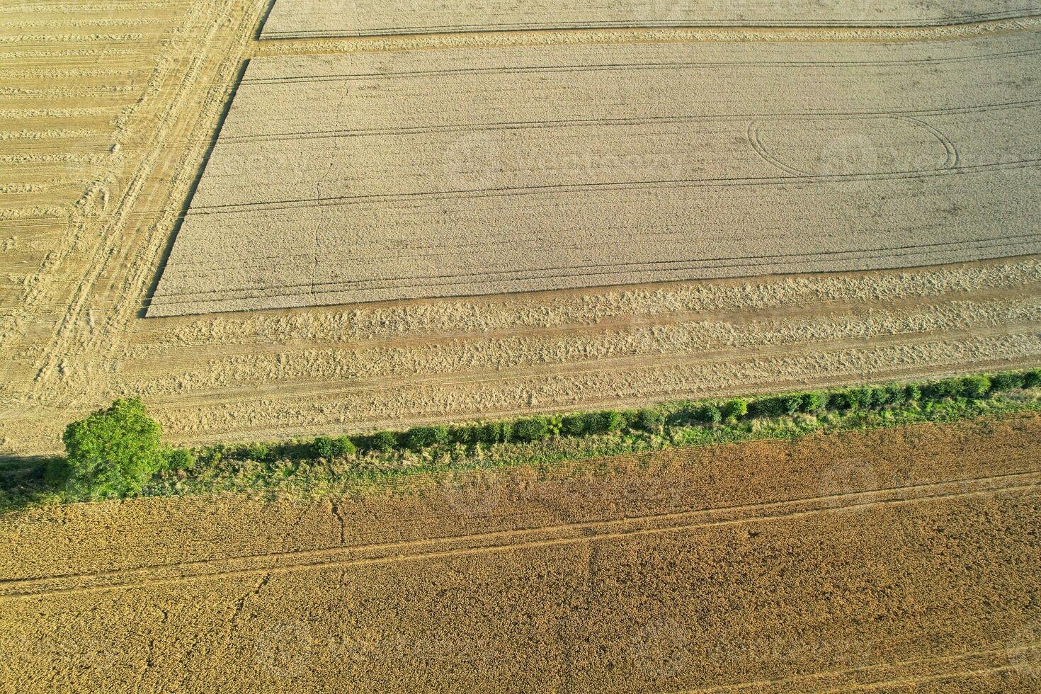 alto ángulo imágenes de británico agrícola granjas a campo paisaje cerca lutón ciudad de Inglaterra genial Bretaña de Reino Unido. imágenes estaba capturado con drones cámara en agosto 19, 2023 foto