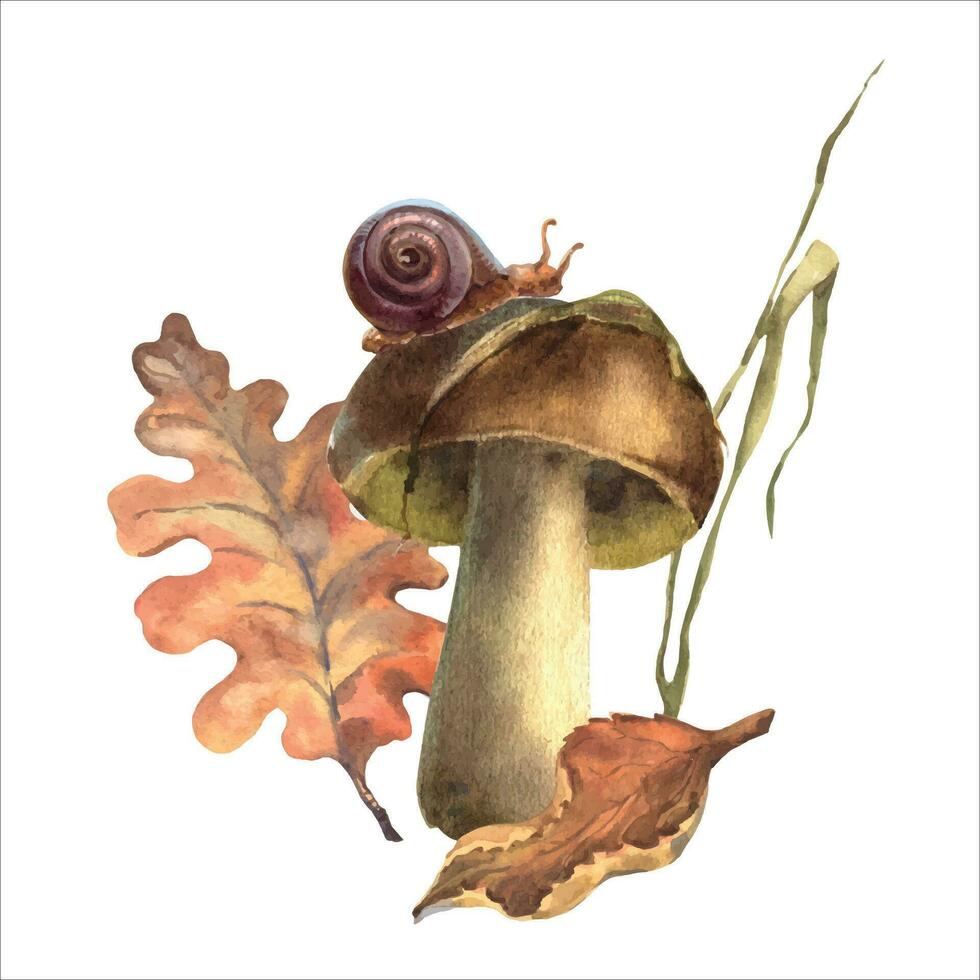 Autumn watercolor composition with a mushroom, autumn leaves, a blade of grass, a snail on a mushroom cap. vector