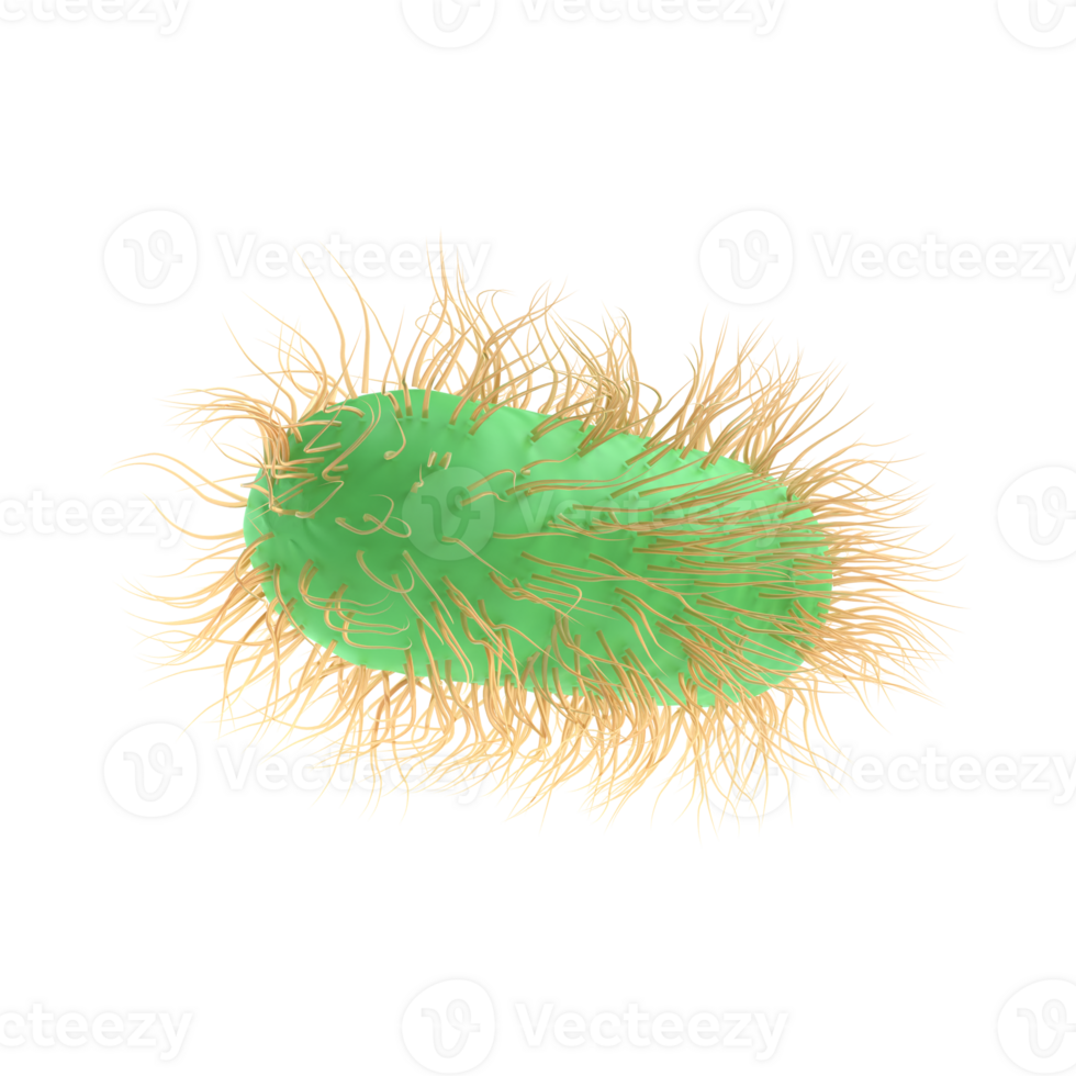 3d hacer ilustración escherichia coli de patógeno bacteria bacterias medicamento, salmonela tifosa con flagelos microscópico ver en líquido. médico virus, científico concepto con microbio y germen png