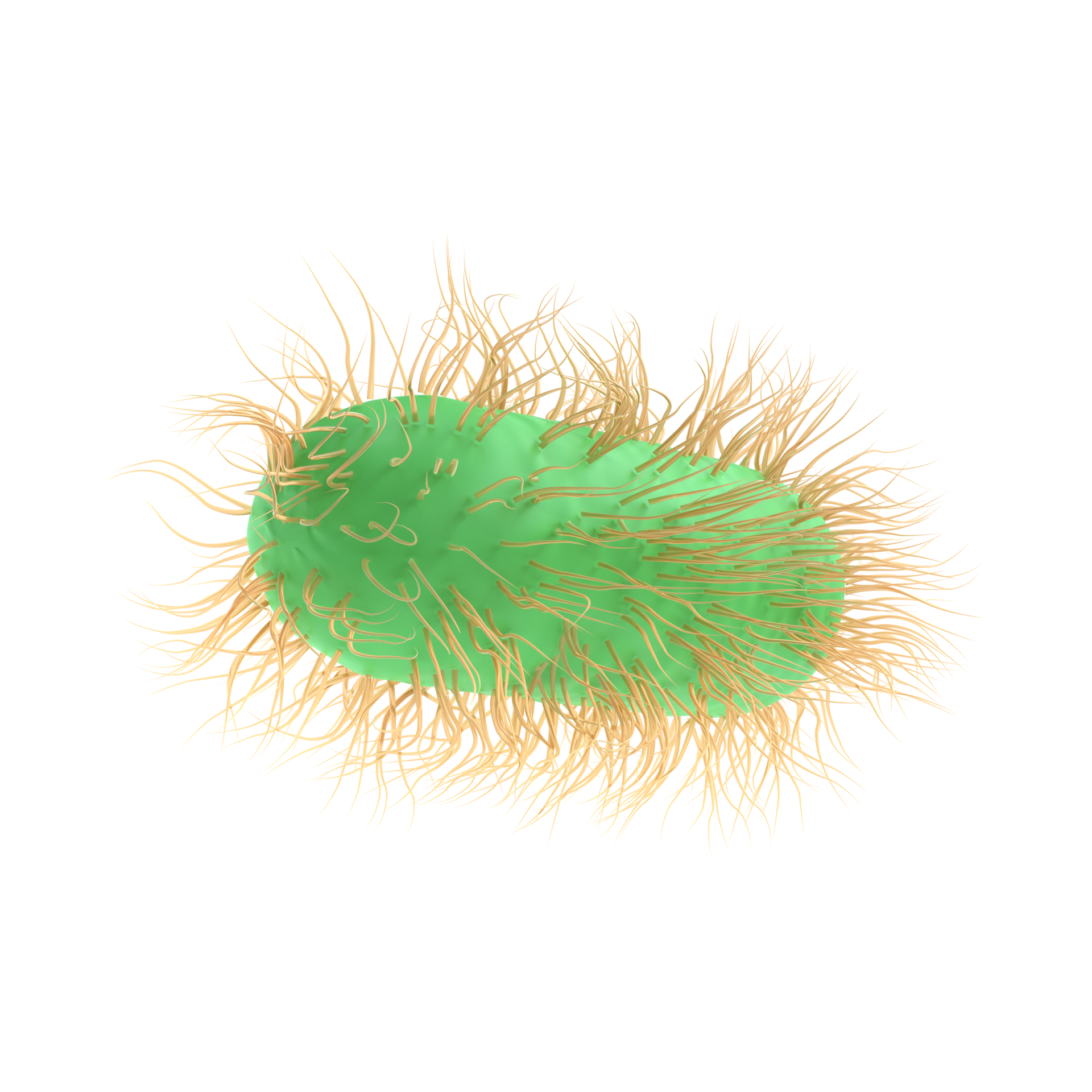 3d render illustration Escherichia Coli of Pathogenic bacterium bacteria medicine, salmonella