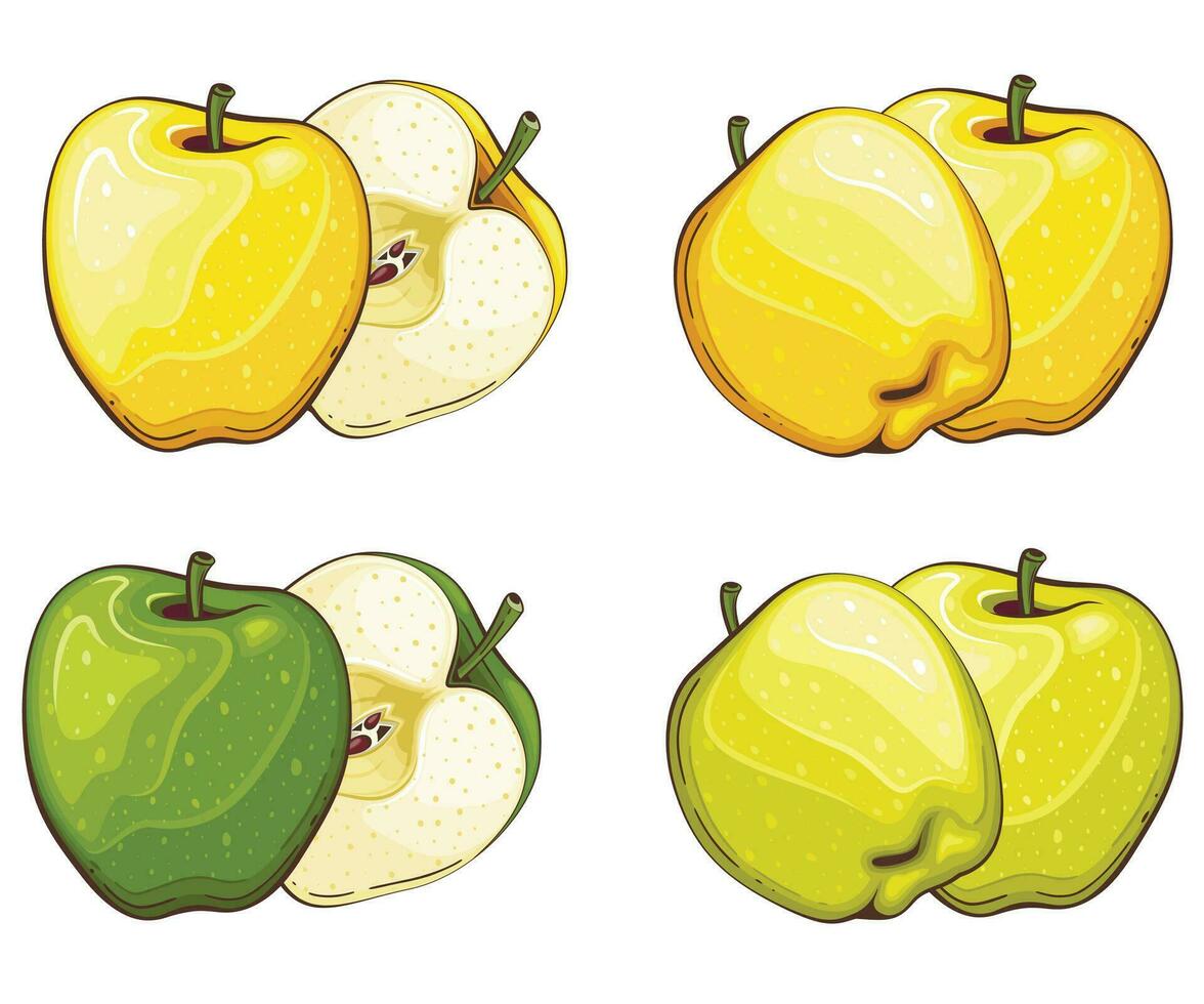 Apple isolated vector illustration. Fruits colorful illustrations isolated on white background.  Fruit collection.