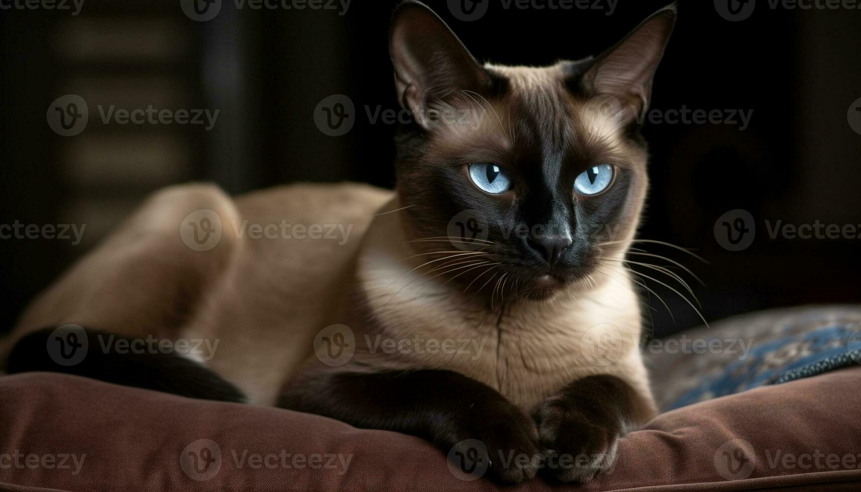 Cute kitten sitting on sofa, looking at camera with curiosity generated by AI photo