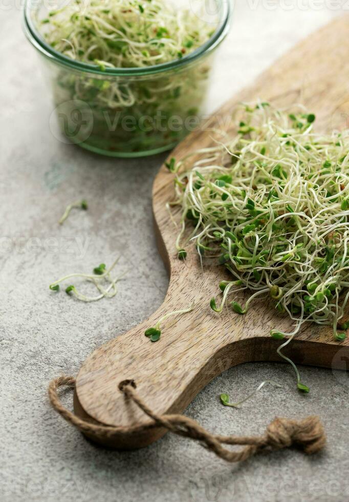 Microgreens grown in a jar. photo