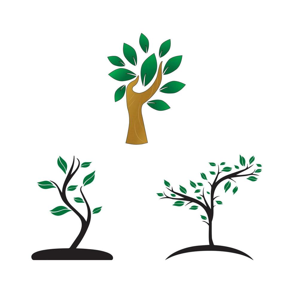 Tree Icons - Classic Line Series.Collection  Realistic  Trees Isolated on White Background. vector