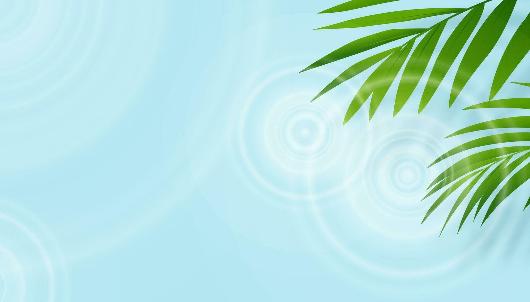 agua antecedentes superficie con verde palma hojas con sombra tropical Coco hoja debajo claro azul agua ondas textura, vector bandera para cosmético producto presente en primavera verano rebaja promoción