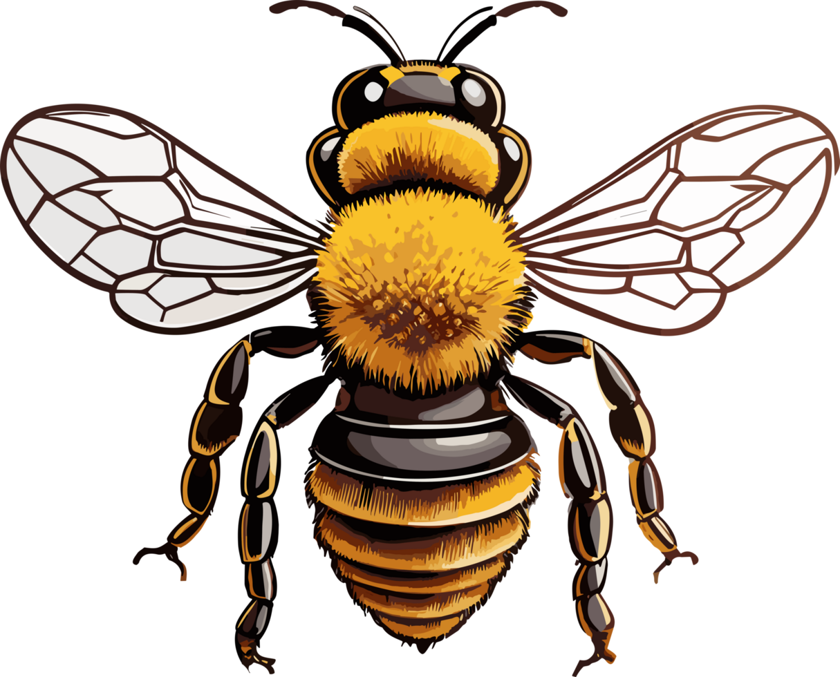 Nature's Ballet Artful Honey Bee Depictions AI generative png