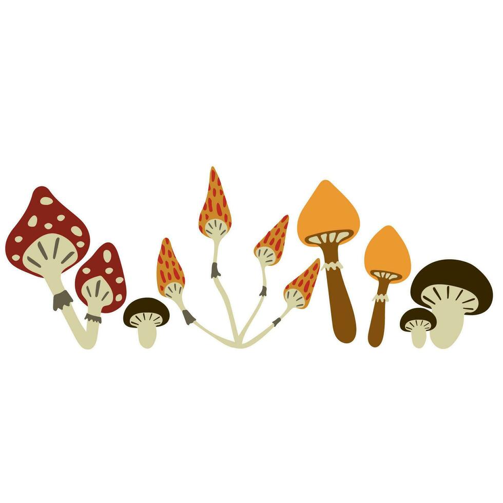 Different mushrooms on a white background. Autumn clipart, fly agaric stickers vector