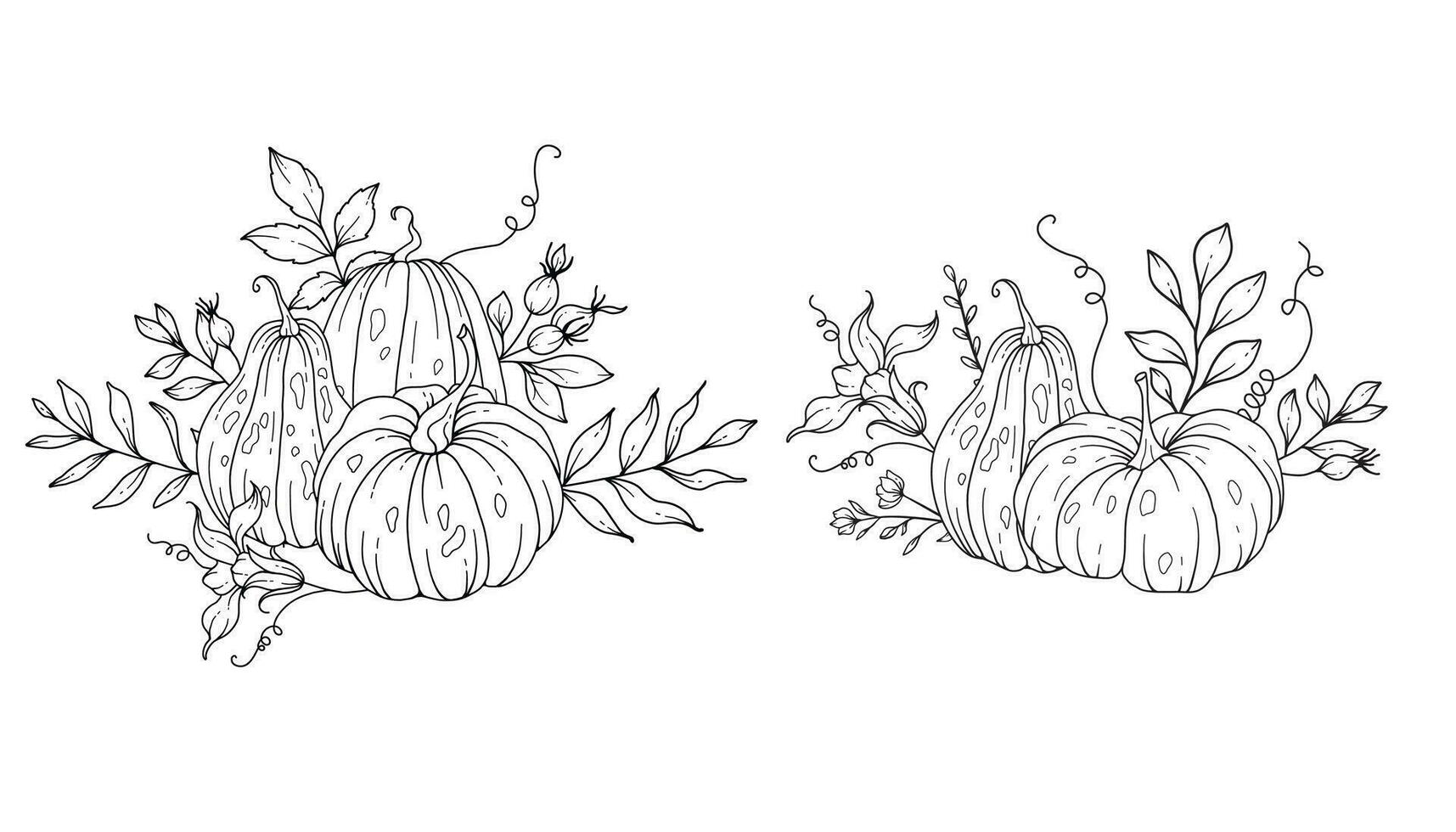 Pumpkins Line Art Illustration, Outline Pumpkin arrangement Hand Drawn Illustration. Coloring Page with Pumpkins.  Thanksgiving Pumpkins set. Thanksgiving Pumpkins set isolated on white vector