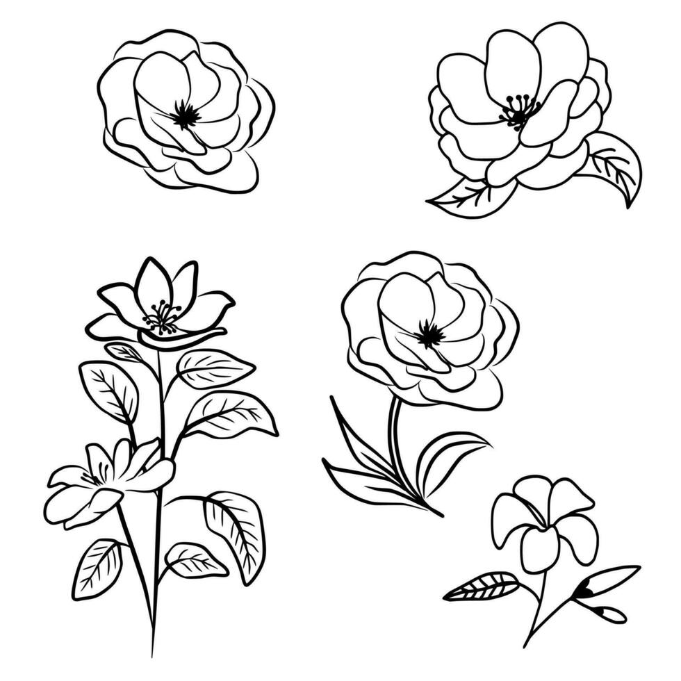 Vector Set Of Wild Roses And Plumeria Line Art