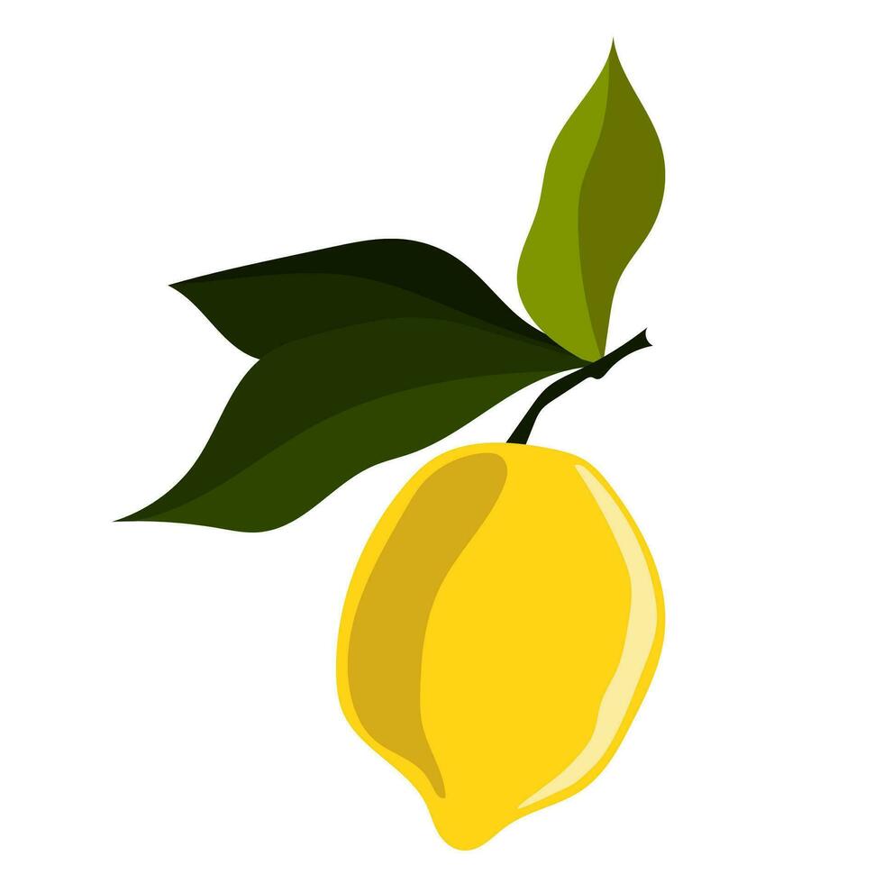 Ripe yellow lemon with green leaves. vector
