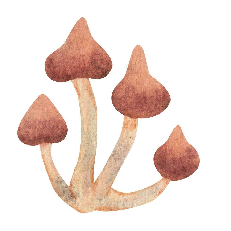 Mushrooms with a red cap. Watercolor illustration. vector