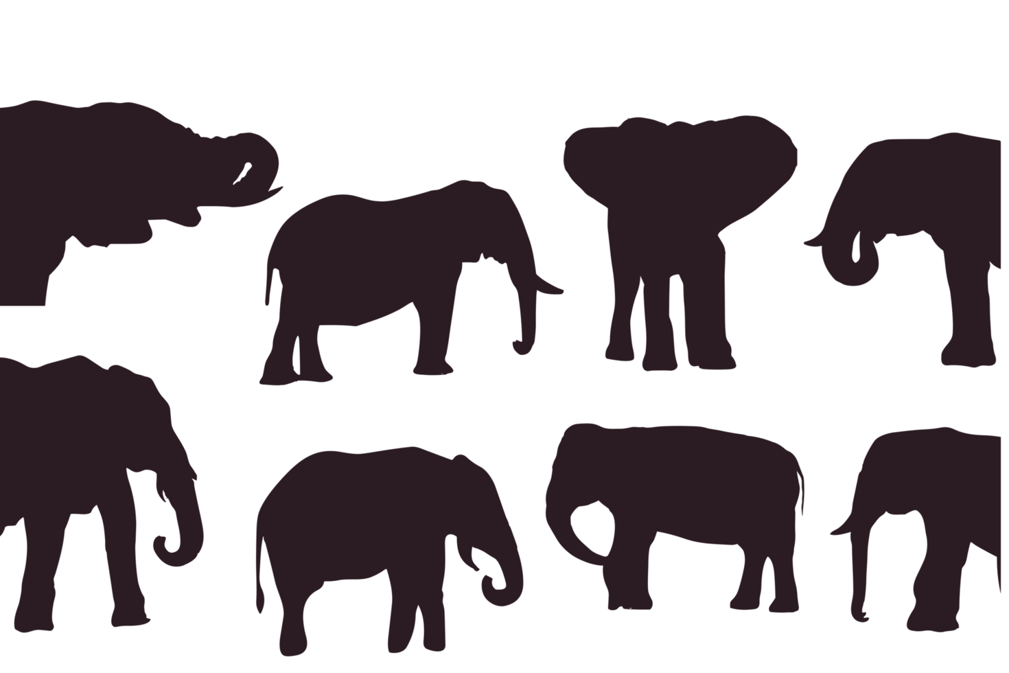 elefante silhueta, animais selvagens animal elefante , africano e ásia elefantes, elefante com tronco e presa silhueta, safári animais, ameaçadas de extinção animal gigante elefante mamífero ícone símbolo placa png