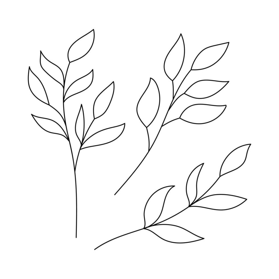 Hand drawn simple outline twigs with leaves. Botanical decorative elements. Black and white doodle vector illustration isolated on a white background.