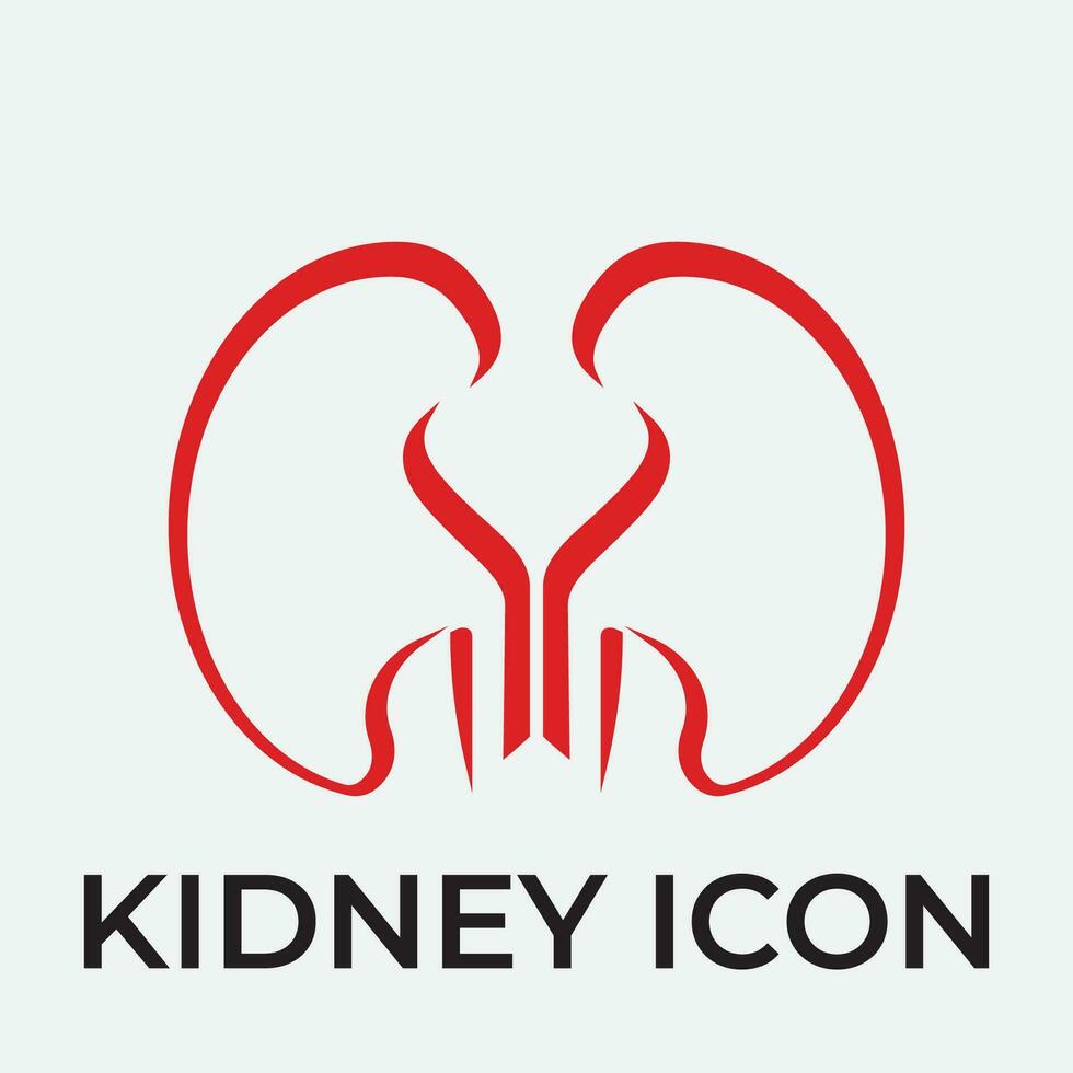 kidney vector illusrtation