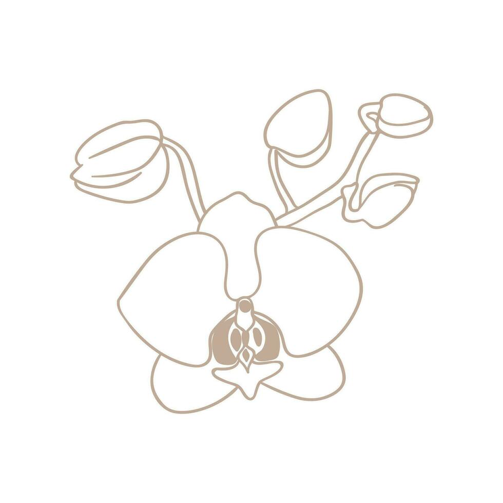 Simple icon of orchid flower twig with buds. Blooming orchid, line drawing. vector