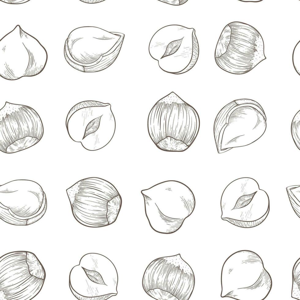 Seamless hazelnut pattern with several fruit nuts and kernels in sketch style. Brown background for packing hazelnut or chocolate, nut paste vector