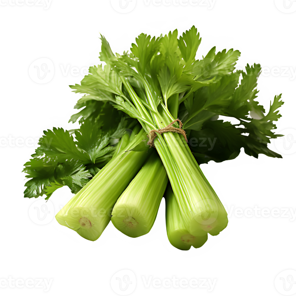celery vegetable isolated on transparent background ,green celery png