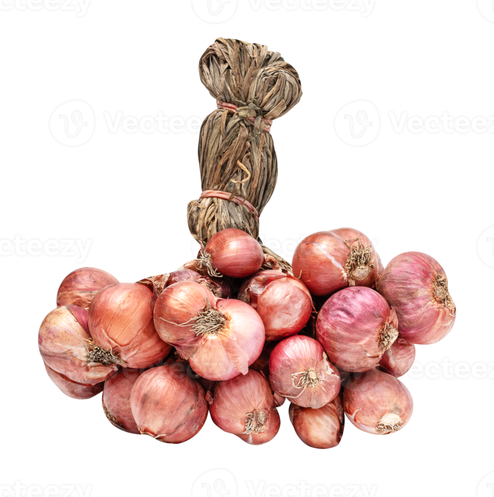 Shallot PNG Transparent Images Free Download, Vector Files